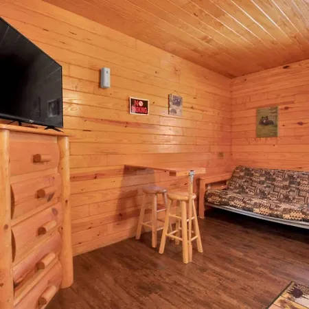 Gatlinburg Cabin Near Ripley'S Aquarium Exterior photo