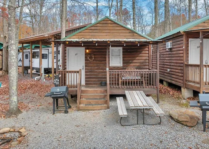 Gatlinburg Cabin Near Ripley\'S Aquarium
